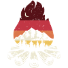 Campfire Sunset Pines