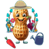Peanut Gardener Gardening Gardening Vegetables