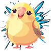 Budgie, parrot, flock of birds