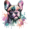 Bouledogue français