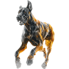 Deutsche Dogge