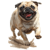 Mops