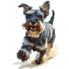 Schnauzer