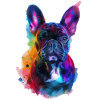 Französische Bulldogge