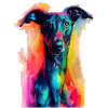 Windhund
