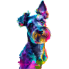 Zwergschnauzer