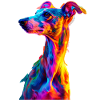 Whippet