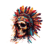 Indian Chief Skull