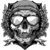 Ski Ski Goggles Skull Crest