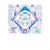 Programmierer Informatiker Hacker