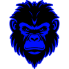 Monkey Animal Portrait