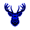 Deer Animal Portrait