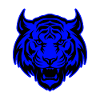 Tiger Animal Portrait