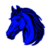 Portrait d’animal de cheval