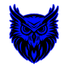 Owl Animal Portrait