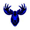 Moose Animal Portrait