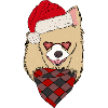 Chihuahua with Santa hat