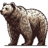 Grizzly