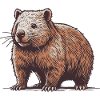 Wombat