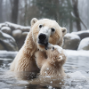 Polar bear mother with child