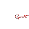 Pinwero Sport