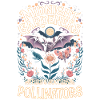 Moths Bats Night Pollinators