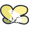 Amphibian amphibian