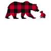 Abuela Bear
