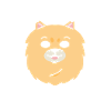 God Created Pomeranian
