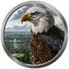 Eagle Animal - 3