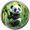 Baby Panda Animal