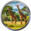 Giraffe Animal - 2