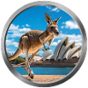 Kangaroo Animal - 2