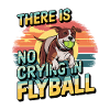 Flyball Dog Sports