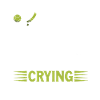 Flyball Dog Sports