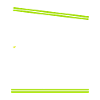 Flyball Sports canins