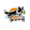 Flyball Sports canins