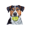 Flyball Hundesport