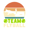 Flyball Dog Sports