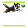 Flyball Sports canins