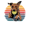 Flyball Dog Sports