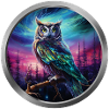 Owl Animal - 4