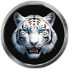 White Tiger Animal - 2