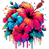 Fleurs d’hibiscus