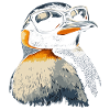 Penguin Cool Sunglasses Animals Animal