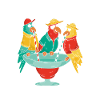 L’endroit est un perroquet ivre