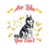 Alaskan Clover Kai