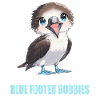 Blue-footed booby