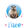 Loutre : c’est mon visage heureux