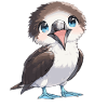 Blue-footed booby